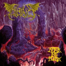 KAIVS - AFTER THE FLESH [CD]
