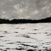 TJAKTJADáLVVE - ECHOES ON A WINDSWEPT PLAIN [CD]