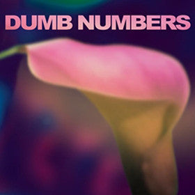 DUMB NUMBERS  - ST