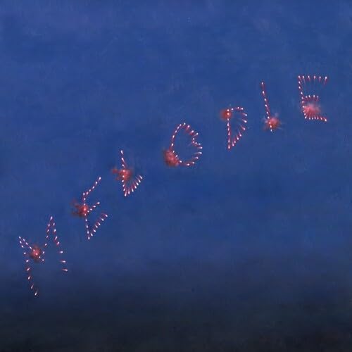SLOW PULP - MELODIE (CLEAR BLUE VINYL) (LP) (LTD) [ANALOG]