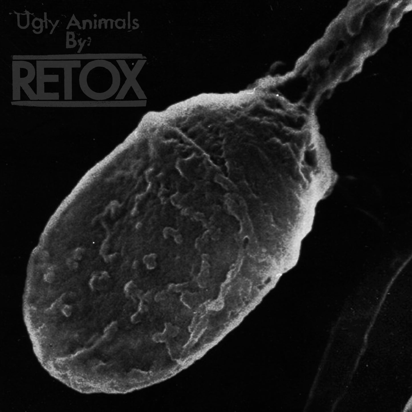 RETOX  - UGLY ANIMALS