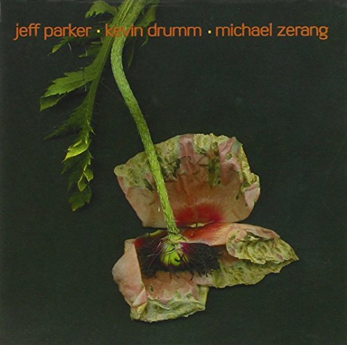 PARKER, JEFF/KEVIN DRUMM/MICHAEL ZERANG - OUT TRIOS VOL.2