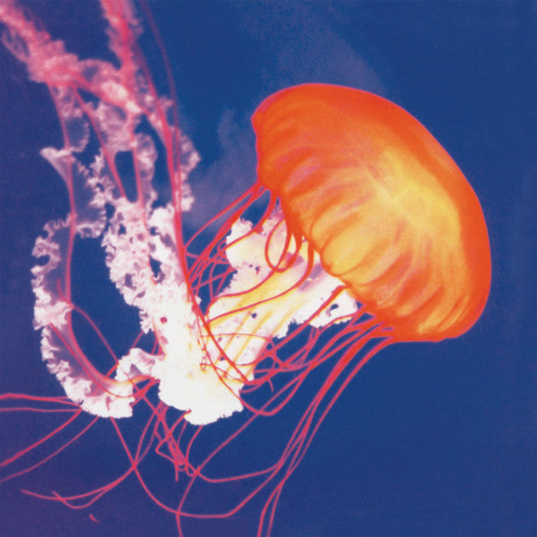 OLIVEROS, PAULINE  - PRIMORDIAL LIFT