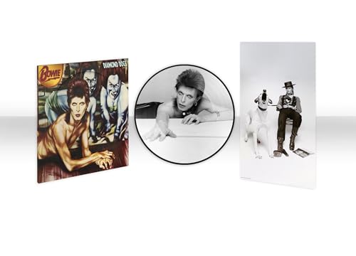 DAVID BOWIE - DIAMOND DOGS (50TH ANNIVERSARY PICTURE DISC) (VINYL)