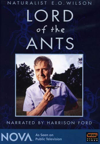 LORD OF THE ANTS - DVD-NOVA