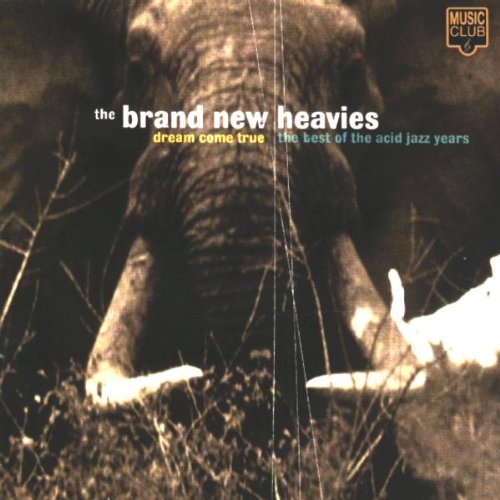 BRAND NEW HEAVIES - DREAM COME TRUE: BEST OF THE A