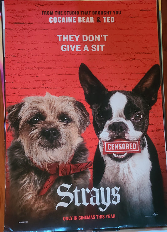 Strays Poster