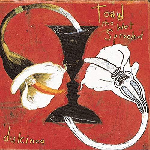 TOAD THE WET SPROCKET - DULCINEA