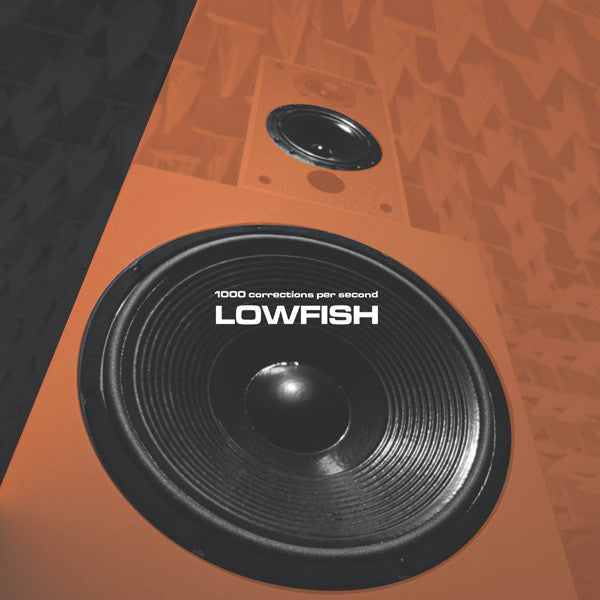 LOWFISH  - 1000 CORRECTIONS PER SECOND