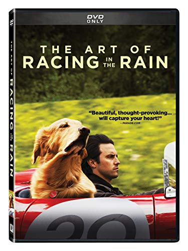 THE ART OF RACING IN THE RAIN