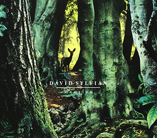 SYLVIAN, DAVID - MANAFON