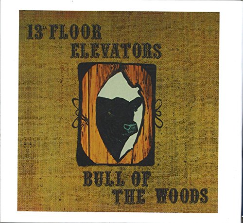 THE 13TH FLOOR ELEVATORS - BULL OF THE WOODS