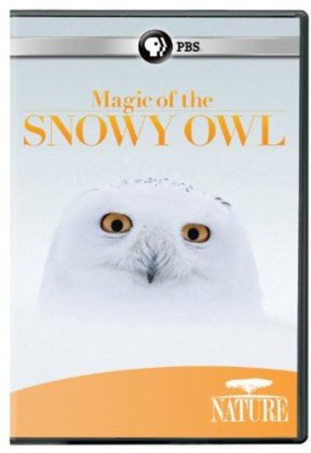 NATURE: MAGIC OF THE SNOWY OWL [IMPORT]