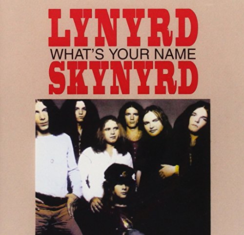 LYNYRD SKYNYRD - WHATS YOUR NAME