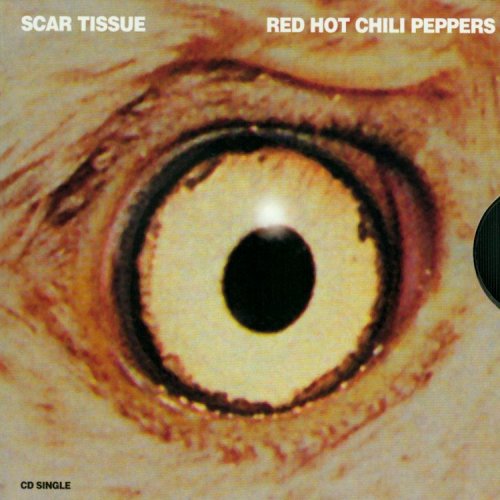 RED HOT CHILI PEPPERS - SCAR TISSUE / GONG LI