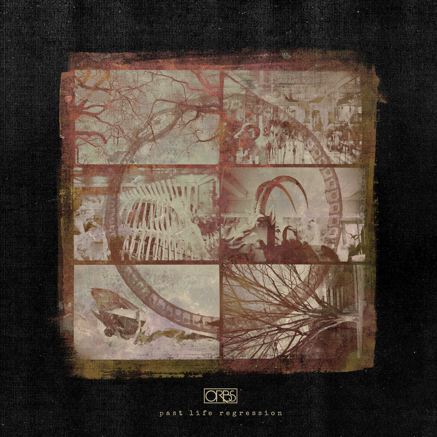 ORBS  - PAST LIFE REGRESSION