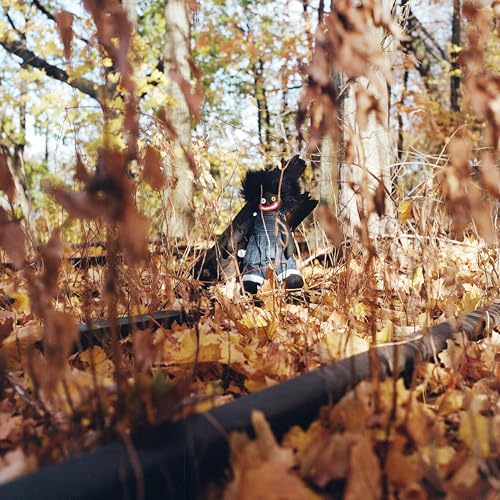 BILLY WOODS - GOLLIWOG (VINYL)