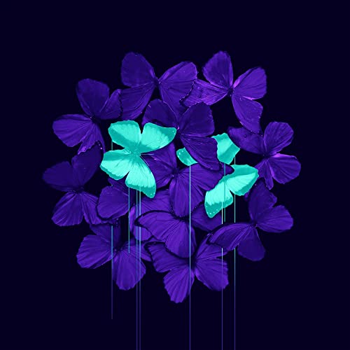 LIGHTWORKER - FURY BY FAILURE (CD)