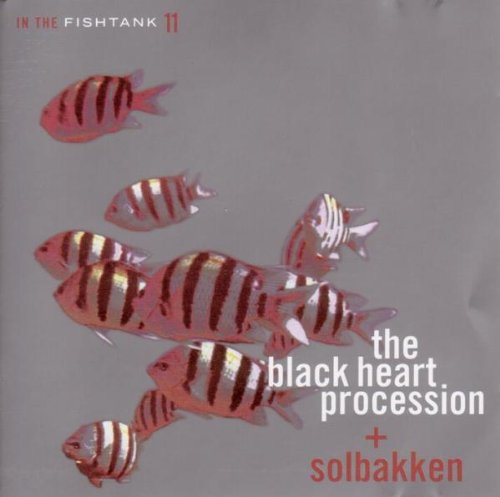 BLACK HEART PROCESSION/SOLBAKK - V11 IN THE FISHTANK