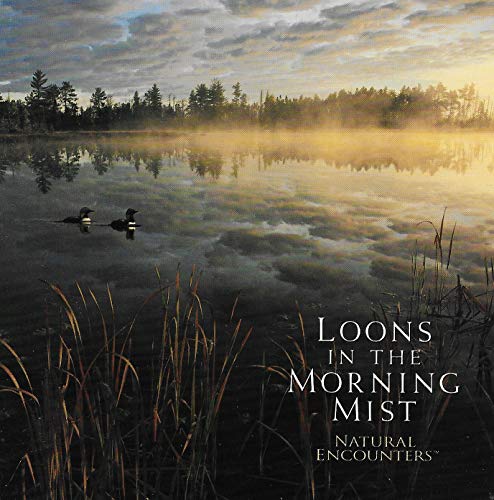 NATURAL ENCOUNTERS  - LOONS IN MORNING MIST