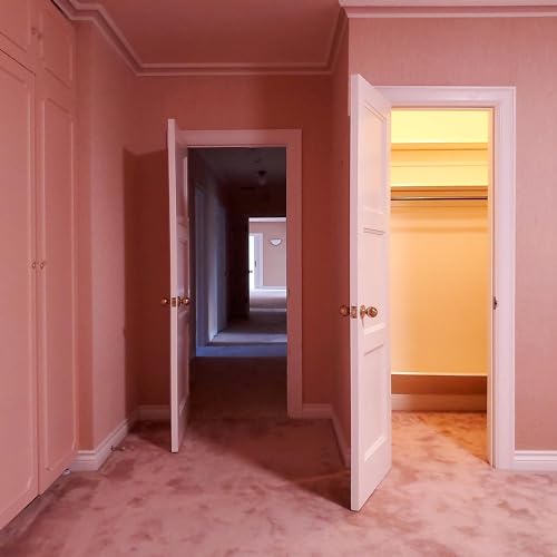 EMPATH - VISITOR (CD)