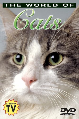 THE WORLD OF CATS