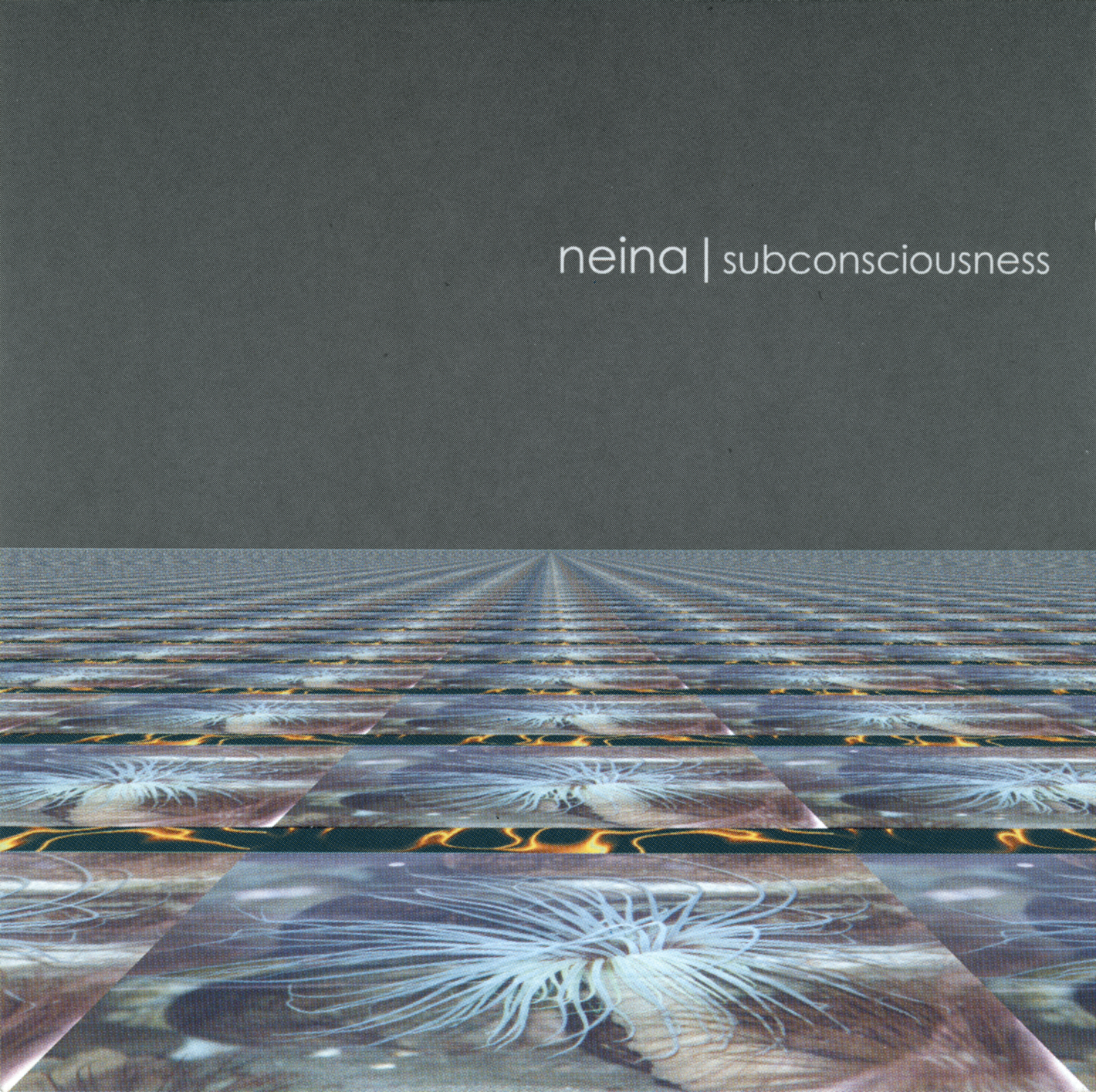 NEINA  - SUBCONSCIOUSNESS