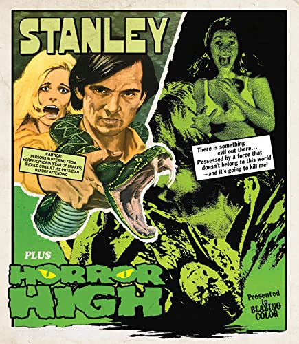 HORROR HIGH/STANLEY  - BLU-VINEGAR SYNDROME