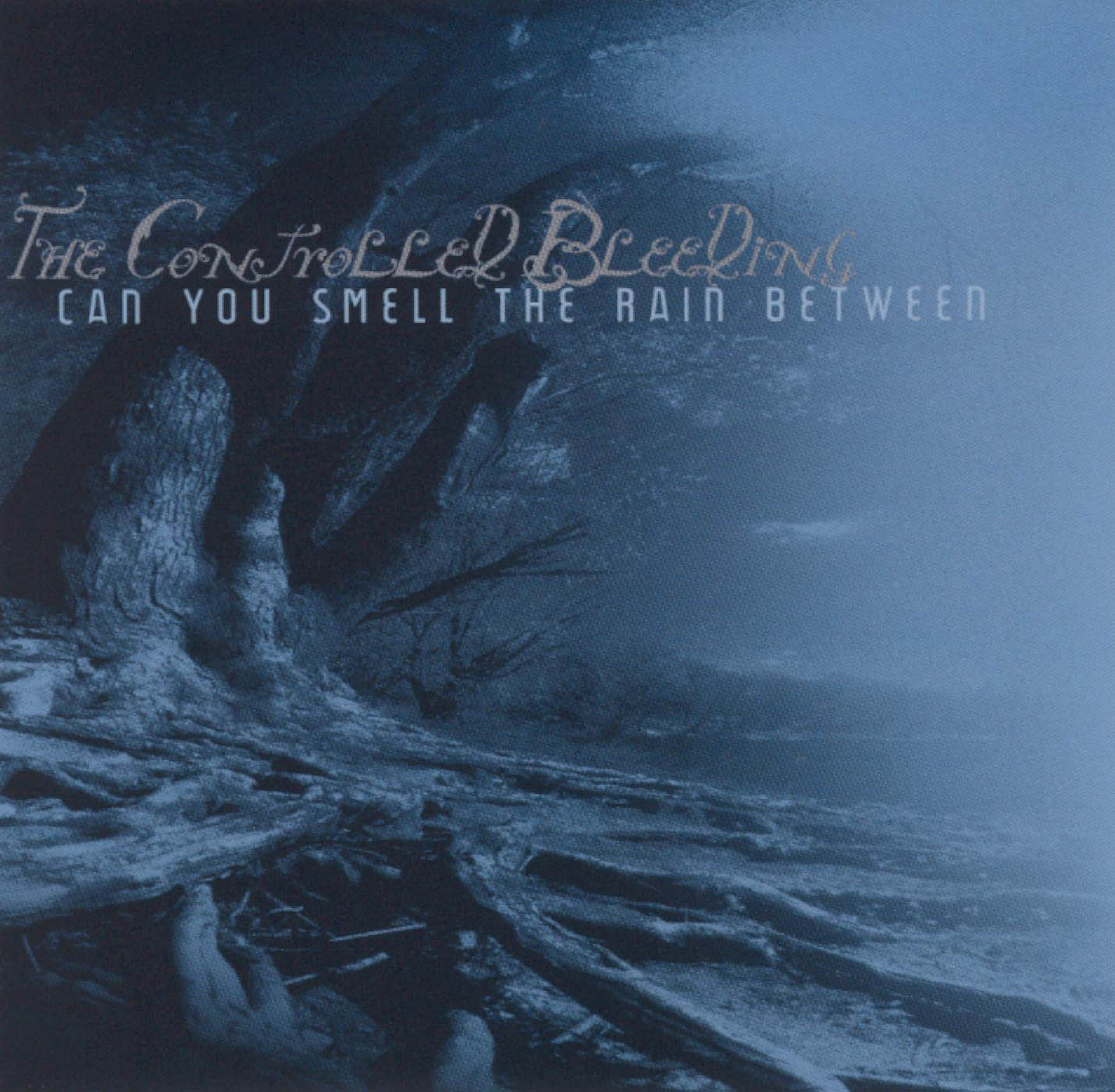 CONTROLLED BLEEDING  - CAN YOU SMELL THE RAIN BETWEEN