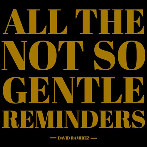 DAVID RAMIREZ - ALL THE NOT SO GENTLE REMINDERS (VINYL)