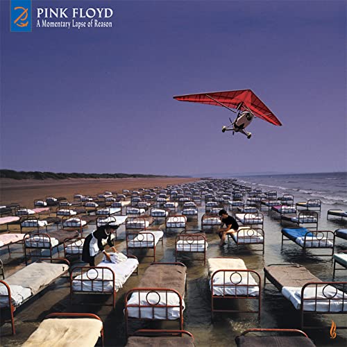 PINK FLOYD  - A MOMENTARY LAPSE OF REASON (CD/DVD)(201