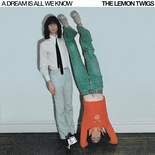 THE LEMON TWIGS - A DREAM IS ALL WE KNOW (VINYL)