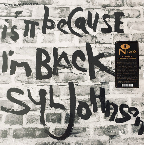 SYL JOHNSON - IS IT BECAUSE I’M BLACK