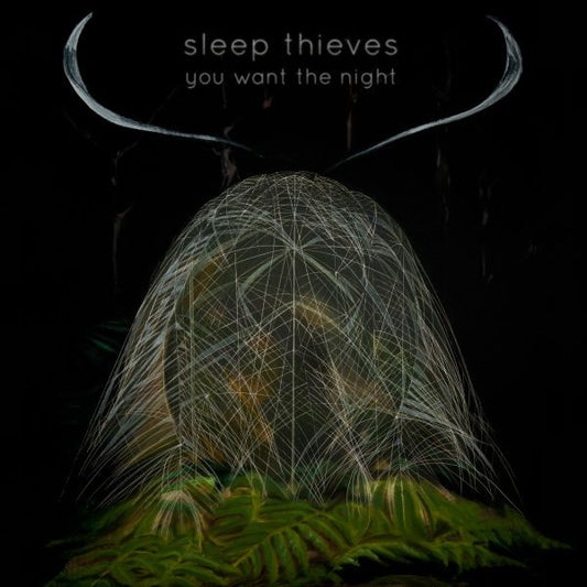 SLEEP THIEVES - YOU WANT THE NIGHT