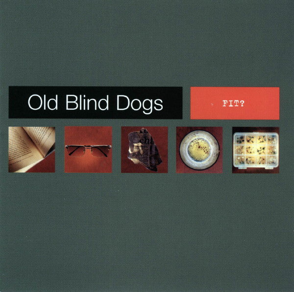 OLD BLIND DOGS  - FIT? (SCOTLAND)
