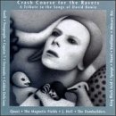 BOWIE, DAVID  - TRIBUTE-CRASH COURSE FOR THE RAVERS