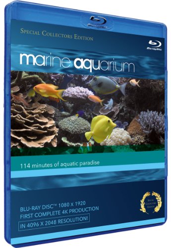 MARINE AQUARIUM  - BLU