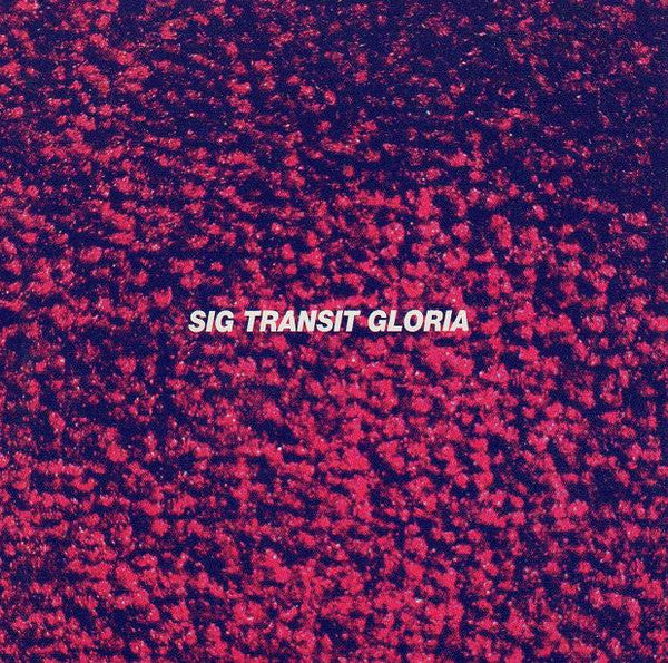 SIG TRANSIT GLORIA  - ST