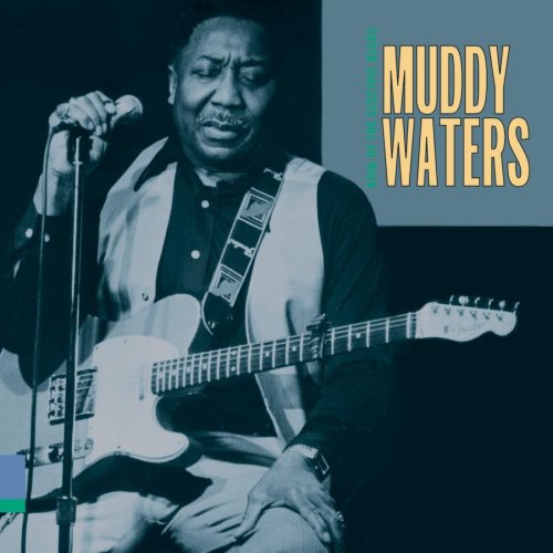 WATERS, MUDDY - KING OF THE ELECTRIC BLUES