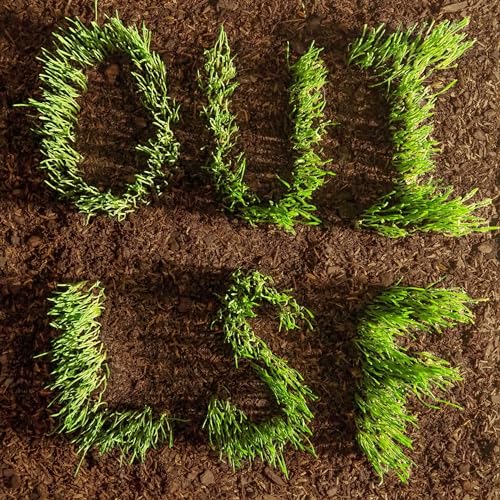 LES SAVY FAV - OUI, LSF (CD)