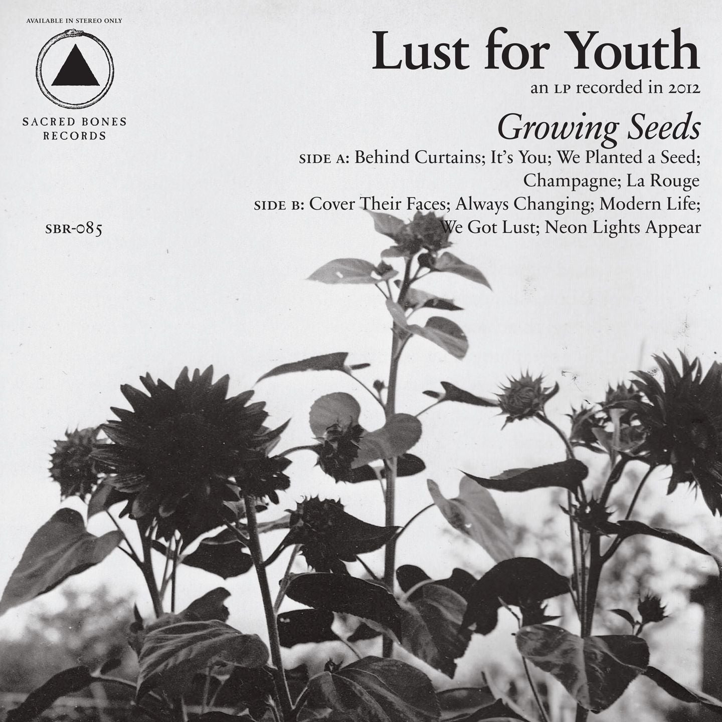 LUST FOR YOUTH  - GROWING SEEDS