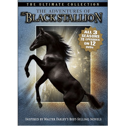 NEW ADVENTURES OF THE BLACK STALLI (DVD)