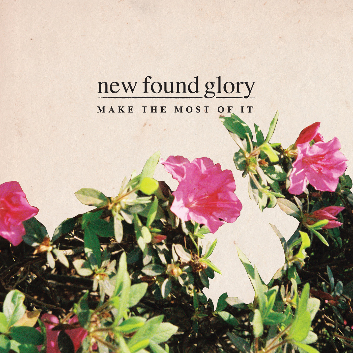 NEW FOUND GLORY  - MAKE THE MOST OF IT