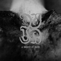 COMMON EIDER, KING EIDER - A WOUND OF BODY [CD]