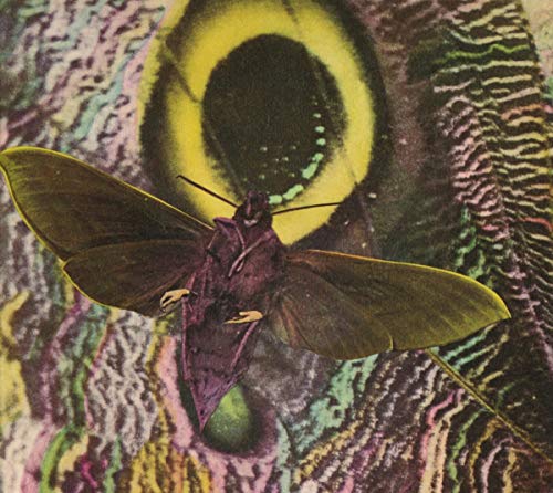 MOTHMEN - PAY ATTENTION (CD)
