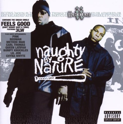 NAUGHTY BY NATURE - IICONS