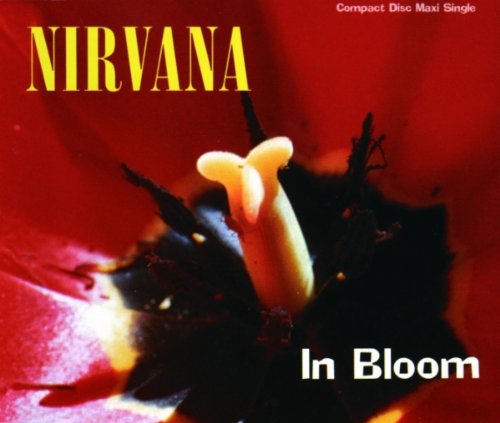 NIRVANA  - IN BLOOM - DIGIPAK