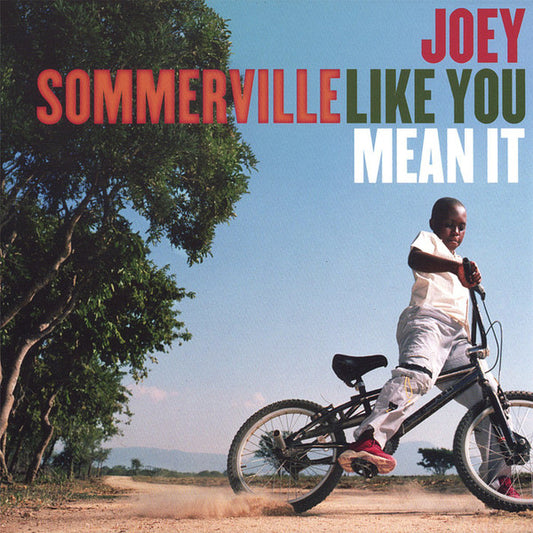 SOMMERVILLE, JOEY  - LIKE YOU MEAN IT