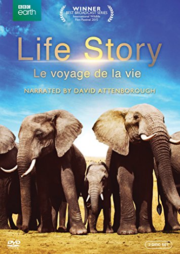 LIFE STORY (BILINGUAL)