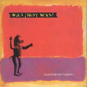WAS (NOT WAS) - ANYTHING CAN HAPPEN (TIN)